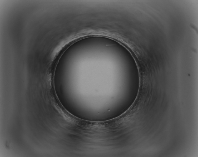 X0000091921503200709191329