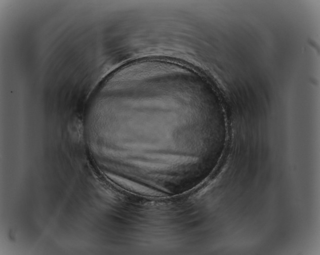 X0000091921505200709191329