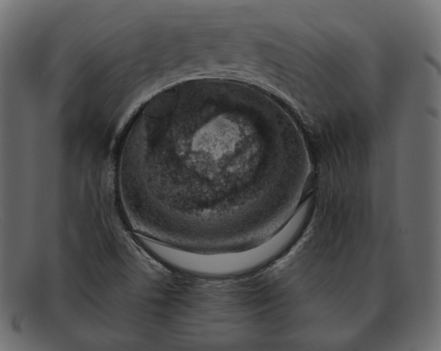 X0000091921506200709191329