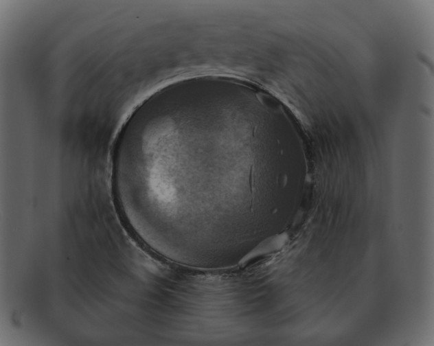 X0000091921508200709191329