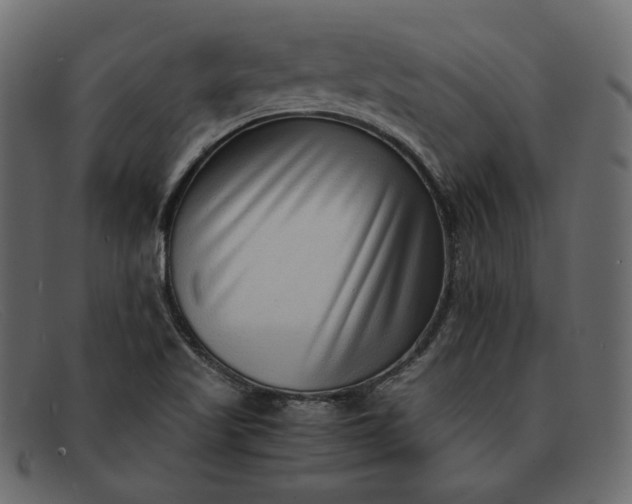 X0000091921509200709191329