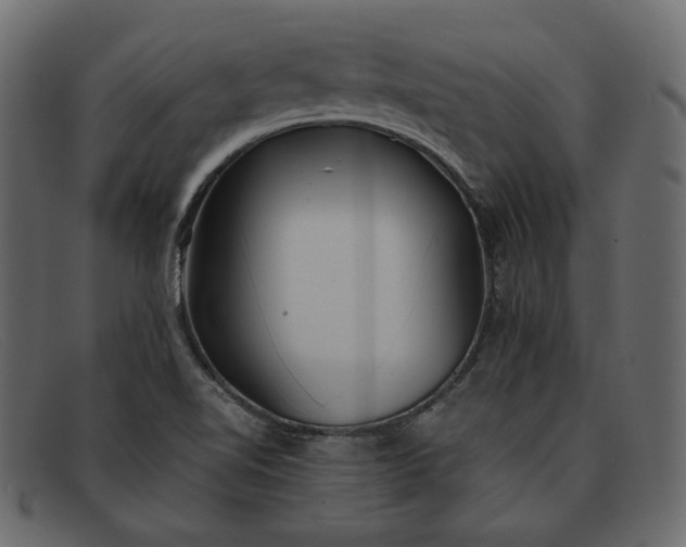 X0000091921510200709191329