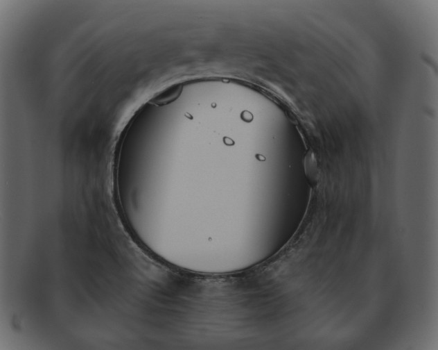 X0000091921512200709191329