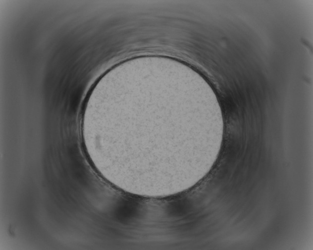 X0000091921514200709191329