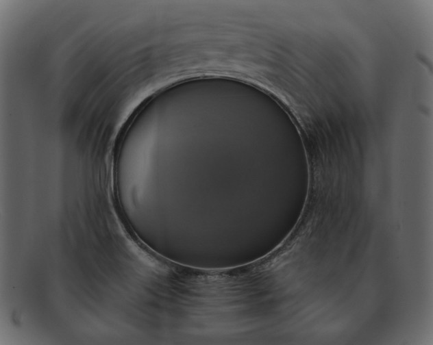 X0000091921515200709191329