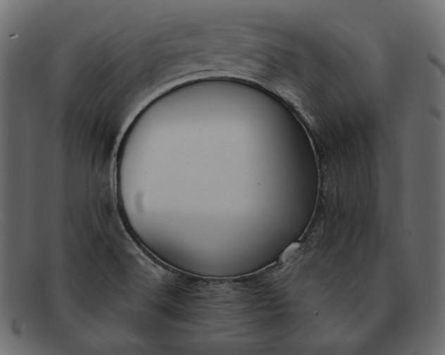 X0000091921516200709191329