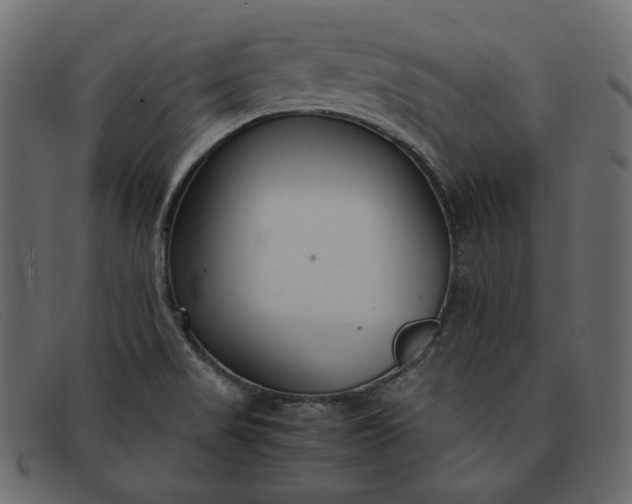 X0000091921517200709191329