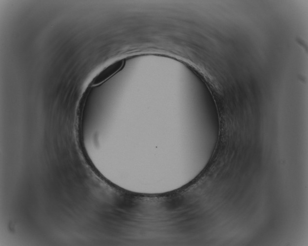 X0000091921518200709191329
