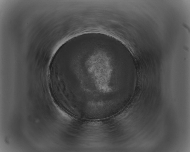 X0000091921519200709191329