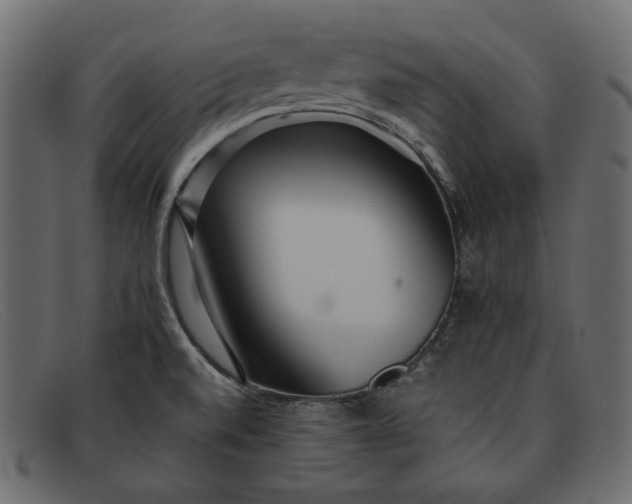 X0000091921520200709191329
