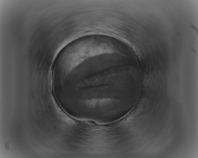X0000091921522200709191330