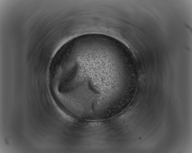 X0000091921523200709191330