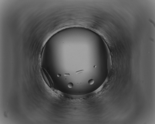 X0000091921524200709191330