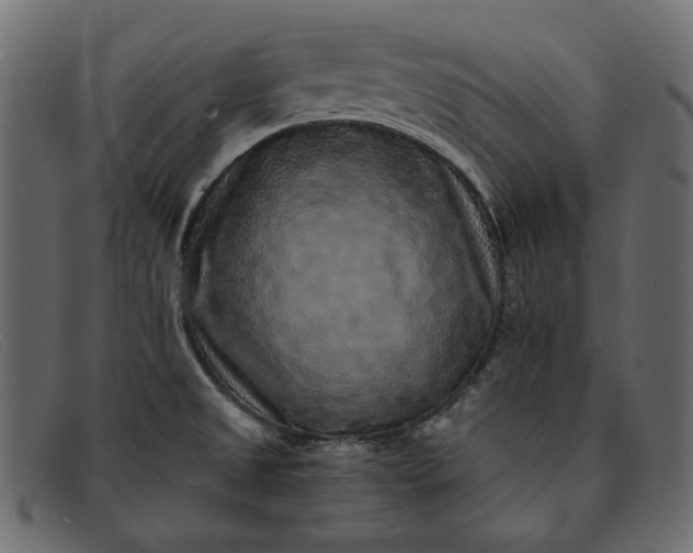 X0000091921525200709191330