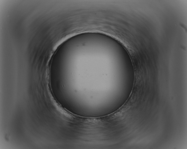 X0000091921526200709191330