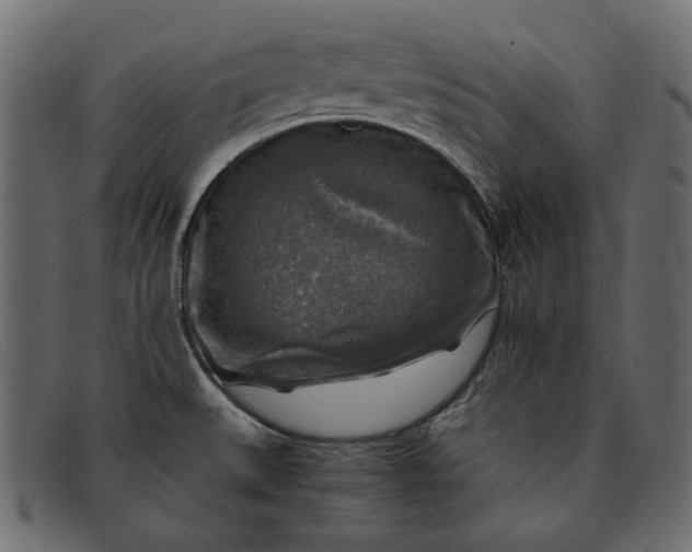 X0000091921527200709191330