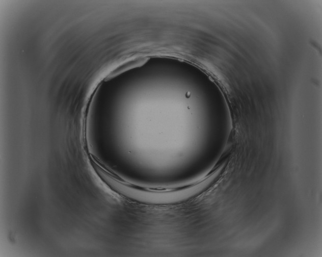 X0000091921528200709191330