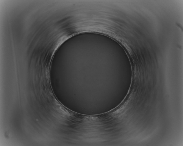X0000091921529200709191330