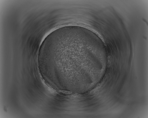 X0000091921530200709191330