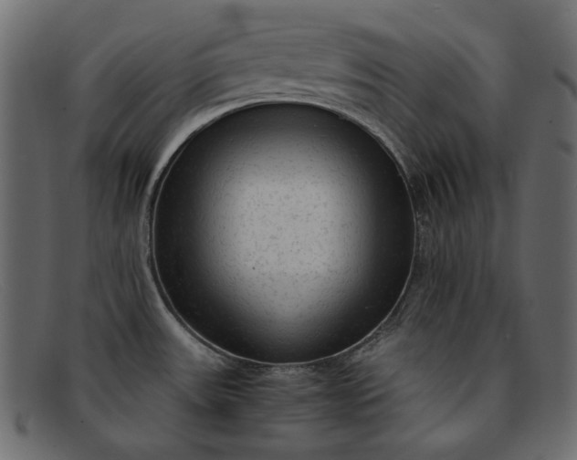 X0000091921531200709191330