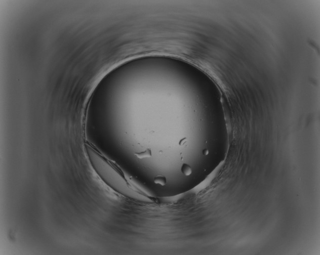 X0000091921532200709191330