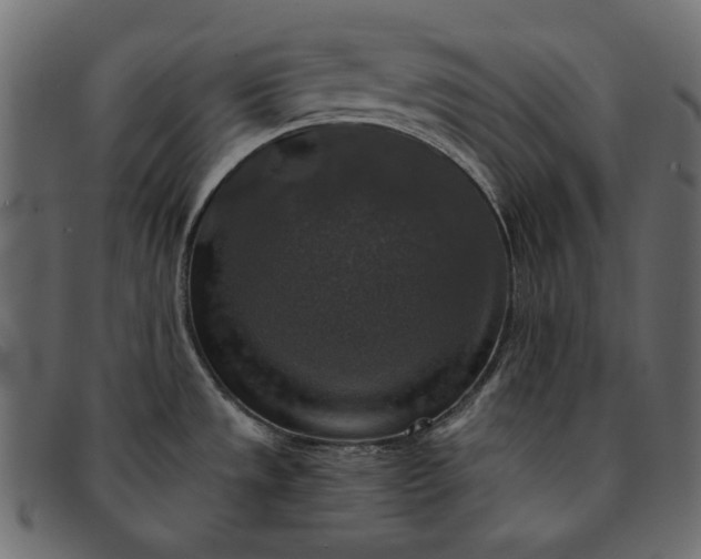 X0000091921533200709191330