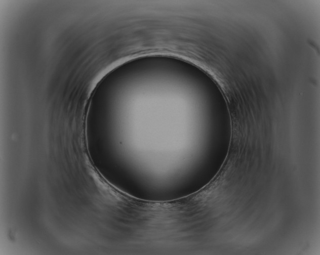 X0000091921534200709191330