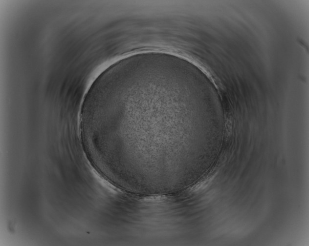 X0000091921535200709191330