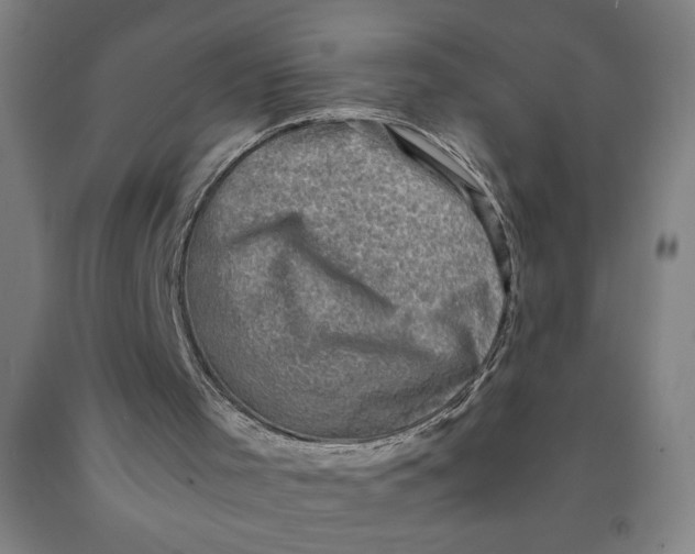 X0000091920001200709261652