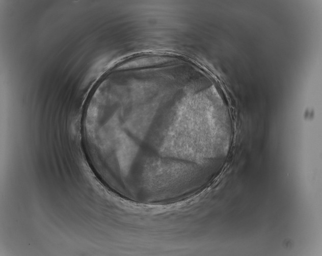 X0000091920002200709261652