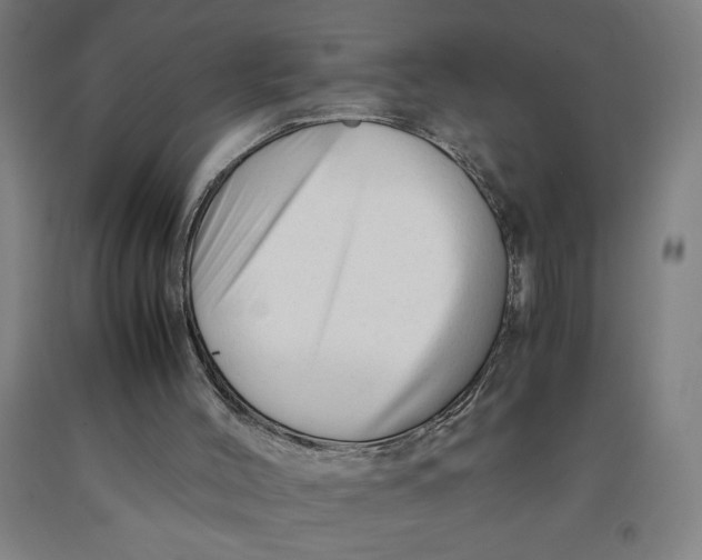 X0000091920004200709261652