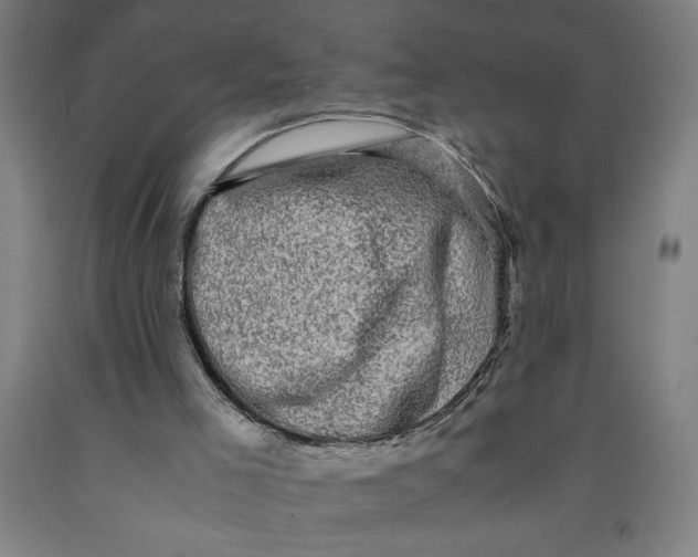 X0000091920005200709261652