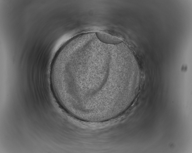 X0000091920006200709261652