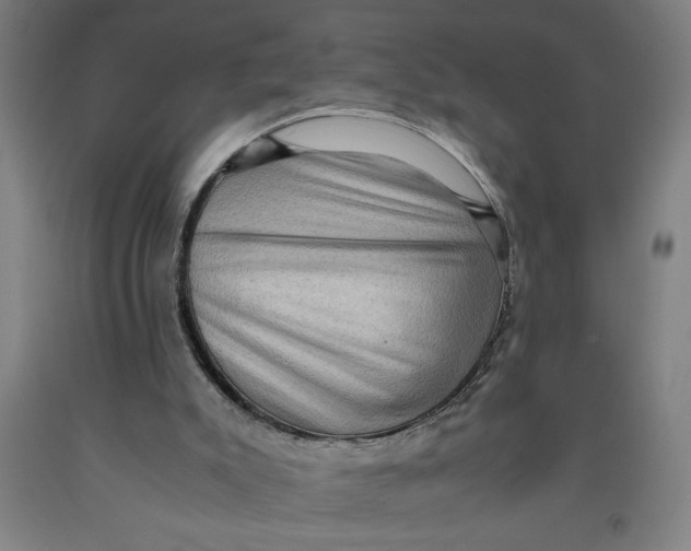 X0000091920007200709261652