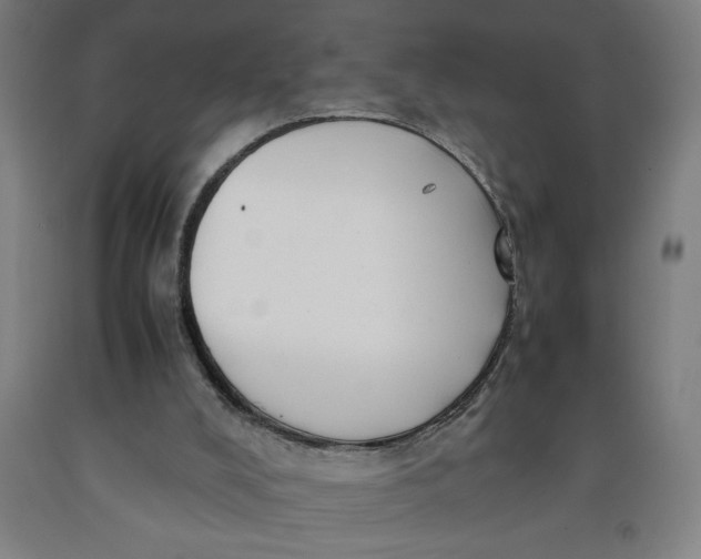 X0000091920008200709261652