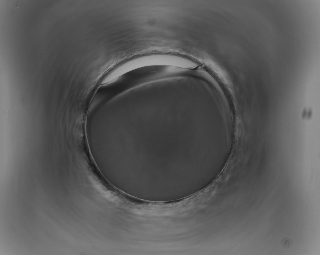 X0000091920009200709261652