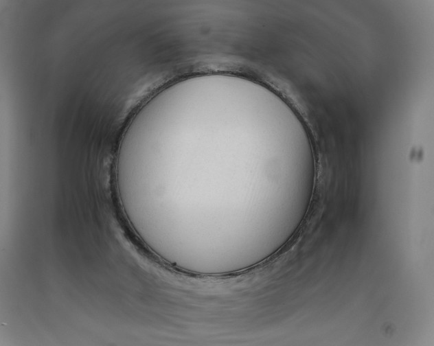 X0000091920010200709261652