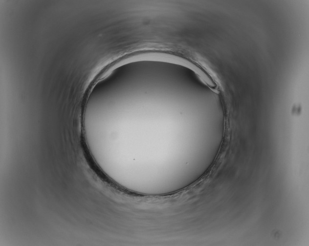 X0000091920011200709261652