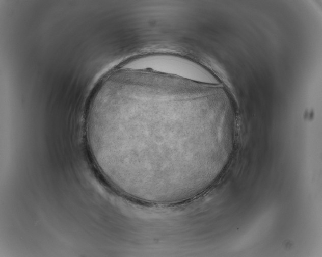 X0000091920012200709261652