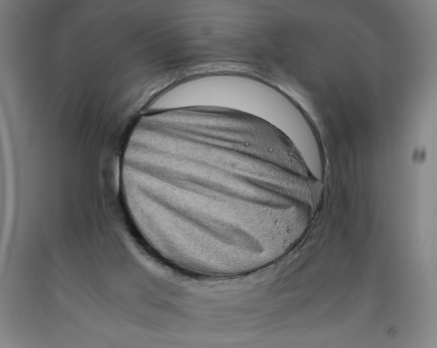 X0000091920013200709261652