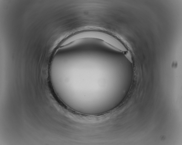 X0000091920015200709261652
