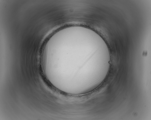 X0000091920016200709261652