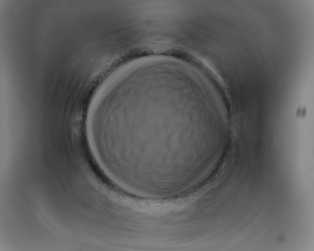 X0000091920018200709261652