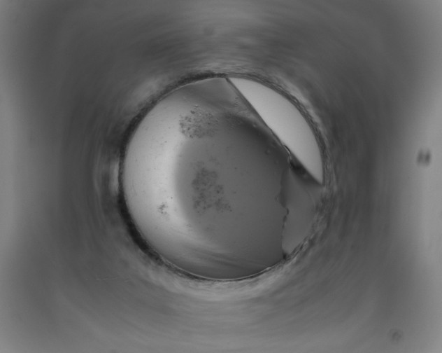 X0000091920019200709261652