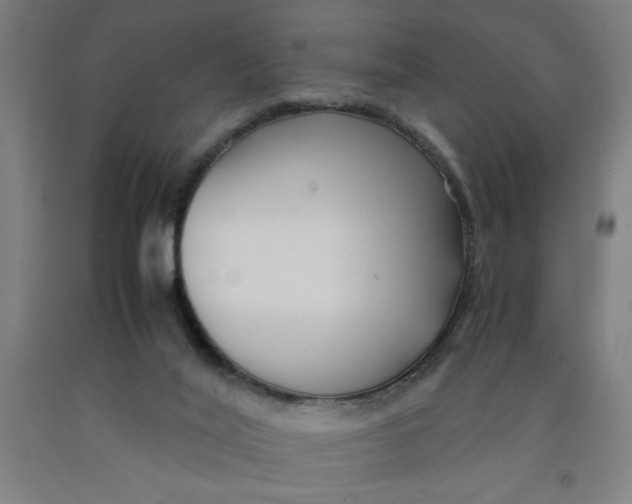 X0000091920020200709261652