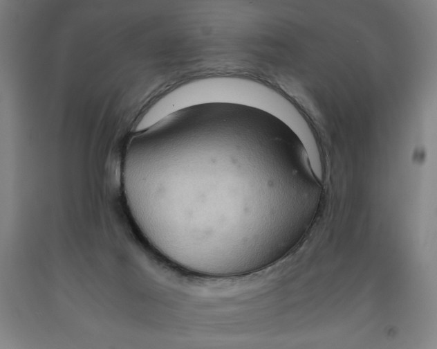 X0000091920021200709261652