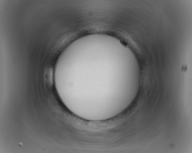 X0000091920022200709261652
