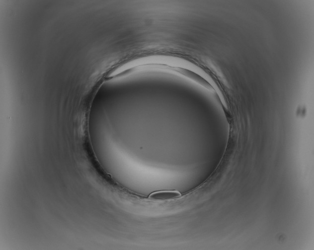 X0000091920023200709261652