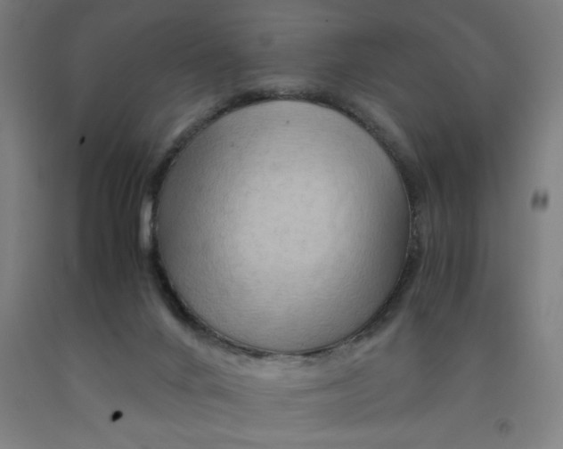 X0000091920024200709261652