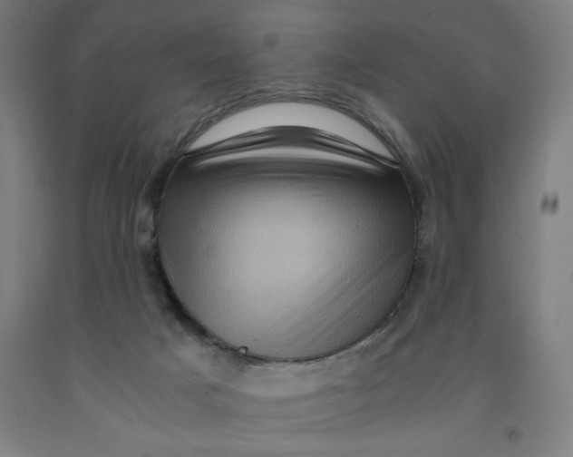 X0000091920025200709261652